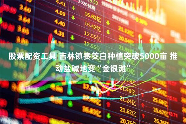 股票配资工具 吉林镇赉茭白种植突破5000亩 推动盐碱地变“金银滩”