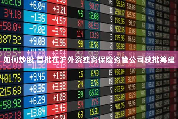 如何炒股 首批在沪外资独资保险资管公司获批筹建